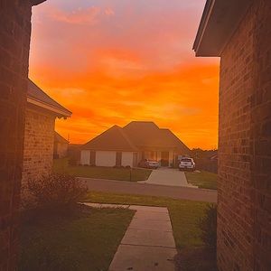 Meet your Posher, Bella